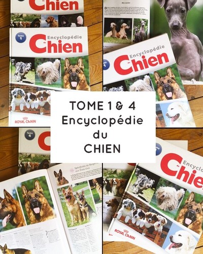 Livres encyclopédie du - 2,