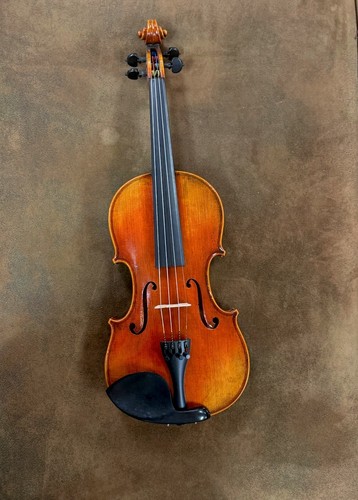 Professionally played violin - professionally, violin-