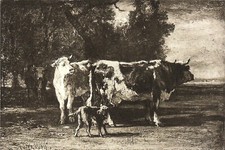 VACHES à la lisière d'un BOIS (par TROYON) -Gravure du 19eme siècle GRAND FORMAT