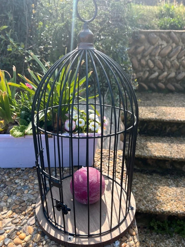 Cage oiseaux métal - cage,