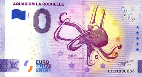 Rochelle aquarium - 17,