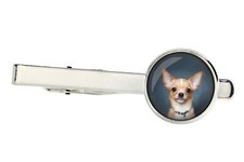 Teckel à poil ras épingle de