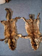 2 Peaux de Renard (Fox Skin)