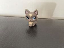 LITTLEST PETSHOP Chat  cat