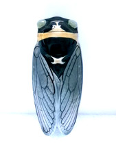 Ancienne cigale en céramique signé Louis Sicard