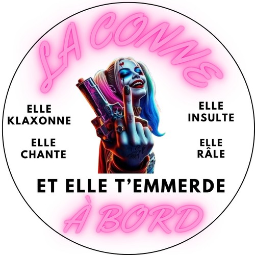 Stickers pour voiture - voiture, conasse