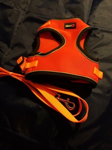 Seny orange black harness - seny, orange/black