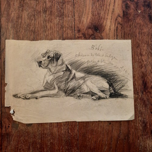Dessin ancien animalier fond - dessin,
