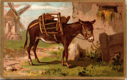 89476 chromo blédine - la,