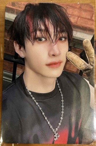 Stray kids skz bang chan - stray,
