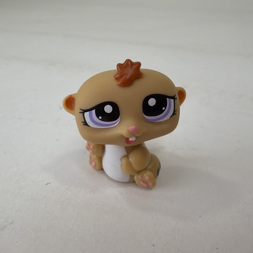 Hasbro littlest pet shop - pet,
