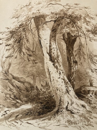 Très belle peinture lavis - très,