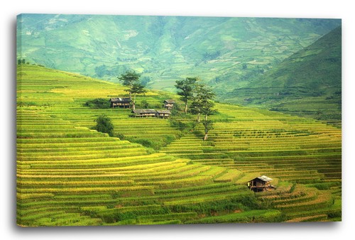 Toile cadres photos - toile/cadres, paysage