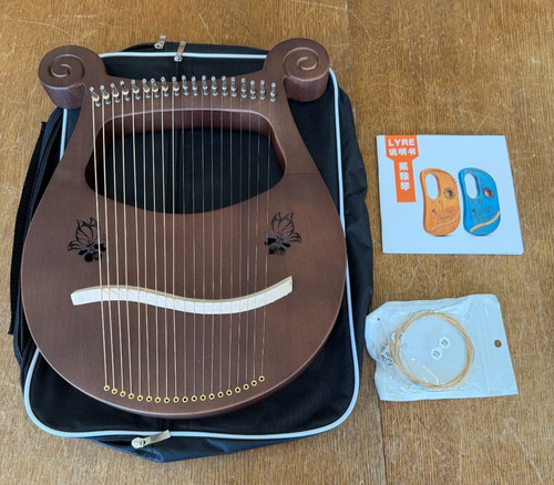String lyre gigbag - string, w/