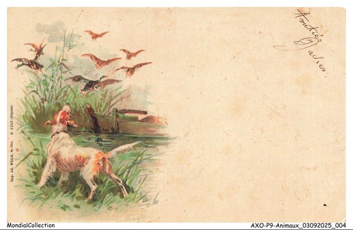 Axop9 0917 animaux chien - axop9-0917-animaux,