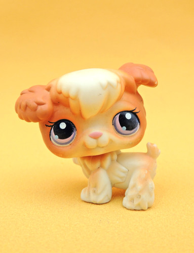 Lps littlest pet shop 37 - pet, #37