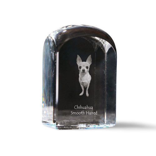 Chihuahua poil long cristal - à,