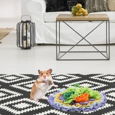  Jouet De Recherche Nourriture