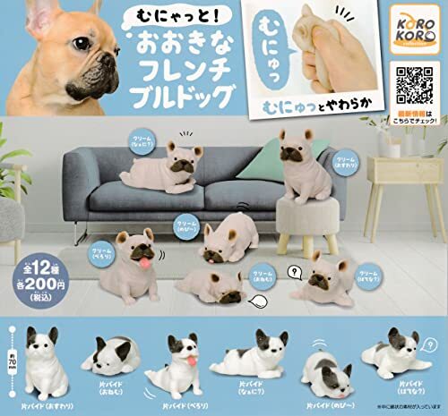 Munyato big bouledogue - munyato!,