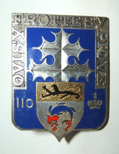 Insigne 110 regiment - insigne,