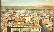 🦬 Carte Postale - Postcard