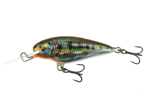 Dorado invader 5cm flottant - dorado,