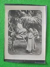 Photo Egypte Âne Femmes pieds