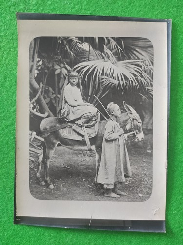Photo egypte âne femmes pieds - Âne,