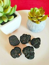 Truffe Noir Accro Cool I Choix