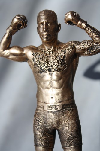 Statue combat mma lutte - mma,