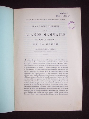 Sur développement la - le,