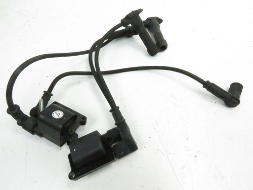 Bobine allumage ducati - bobine, 1100