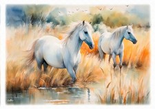 Tableau illustration