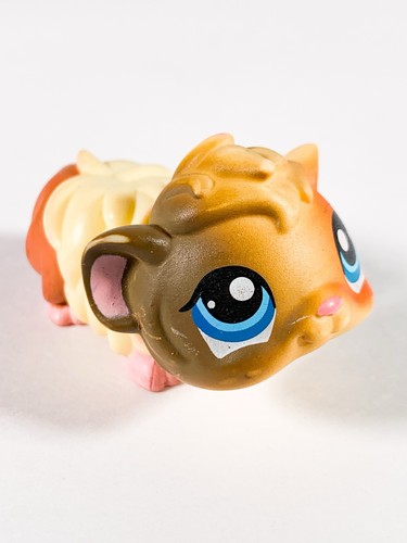 Lps littlest pet - pet, guinea