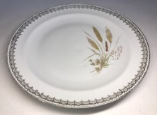 Lot1 De 6 Assiettes Plates En
