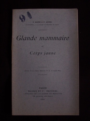Glande mammaire corps jaune - corps,