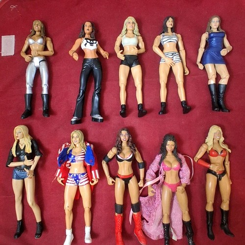 Wwe woman divas figure - wwe,