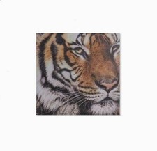 Cadre toile tableau Tigre