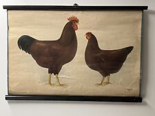 Affiche scolaire éducative