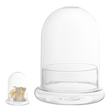  Jarre En Verre Pour Terrarium