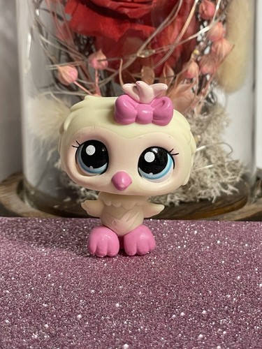Petshop hibou 1728 - hibou, 1728🌺
