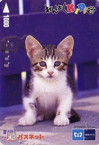 Carte japon série animal - -,