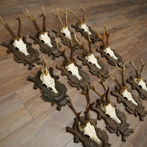 Sujets bois cerf 12 - de,