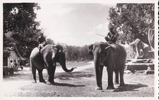 carte postale ancienne  Huong Ky - Cambodge Anghor Ruines - éléphants - CPA