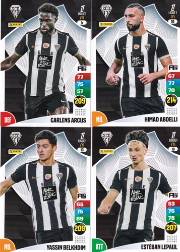 Carte panini adrenalyn - ,