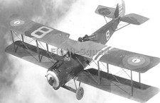 Photo WW1 avion de