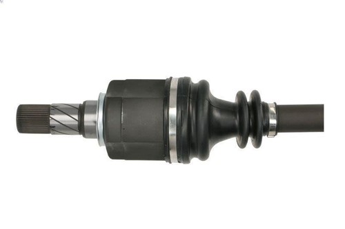 Arbre transmission pascal - arbre,