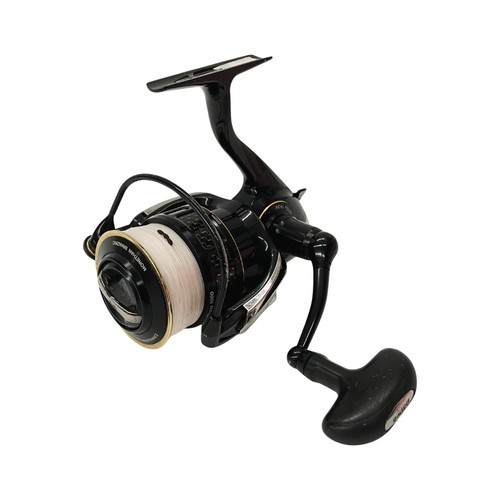 Daiwa morethan branzino - 【】daiwa,