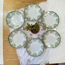 6 assiettes plates terre de