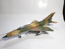 Chasseur de l'armée de l'air